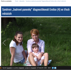 Hradec Králové online