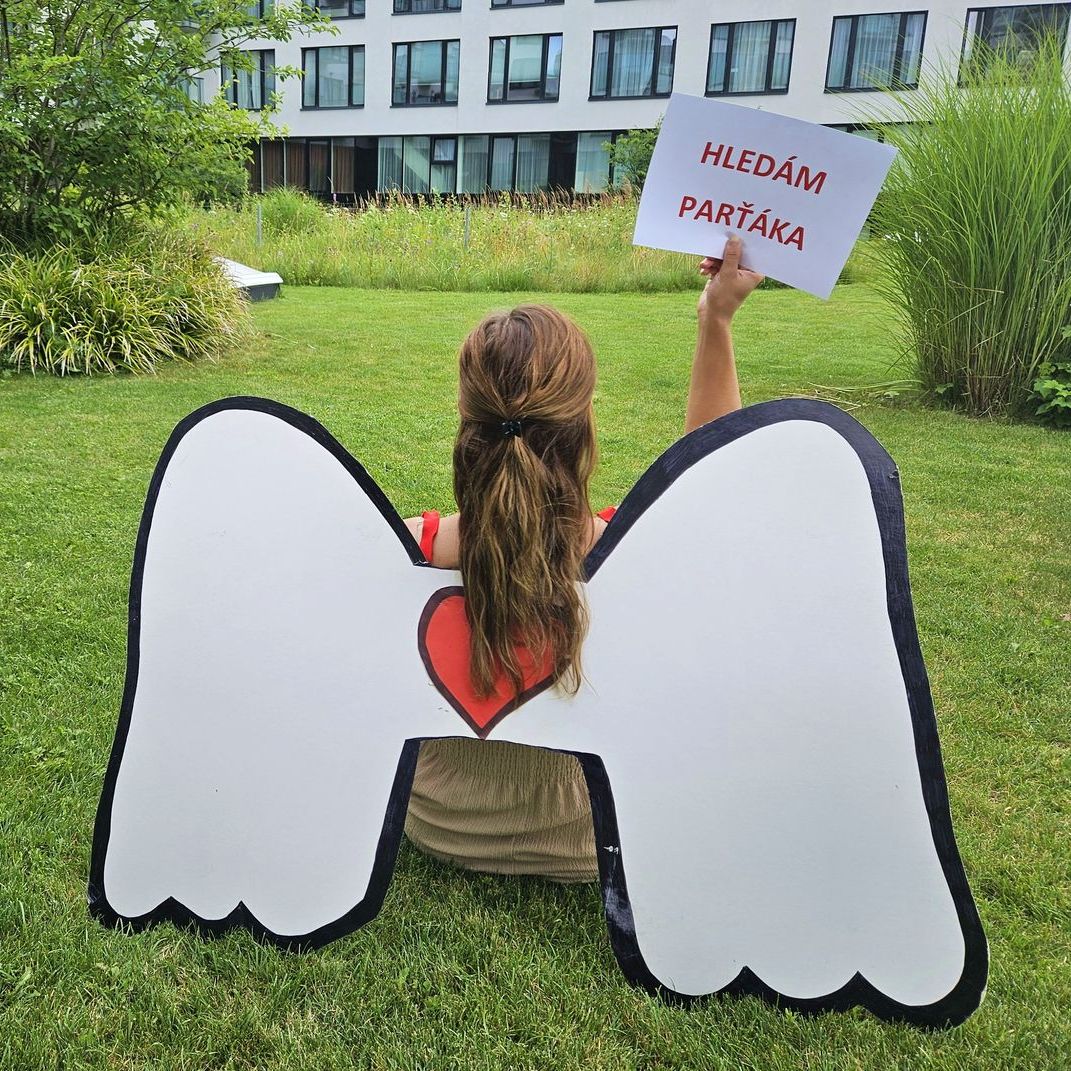 Hledáme parťáka