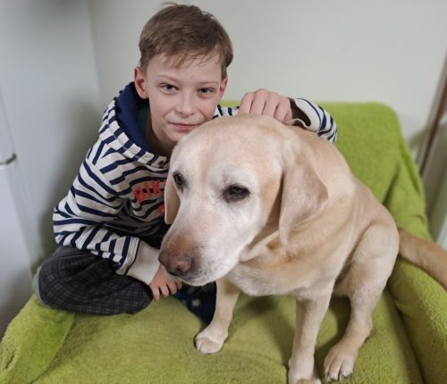 Honzík sedící na křesle se svým asistenčním psem, fenkou Sunny