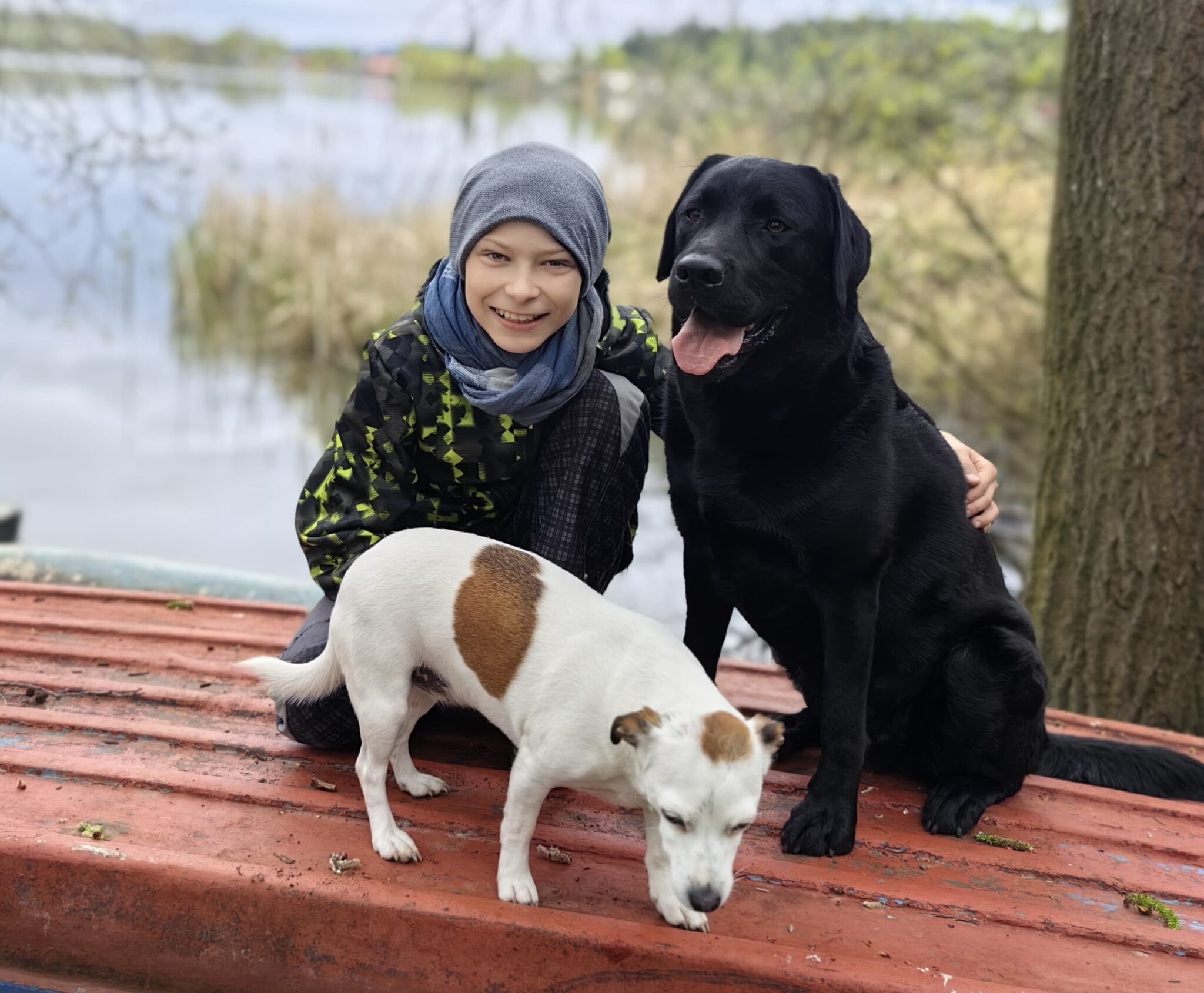 Chlapec sedící vedle 2 psů