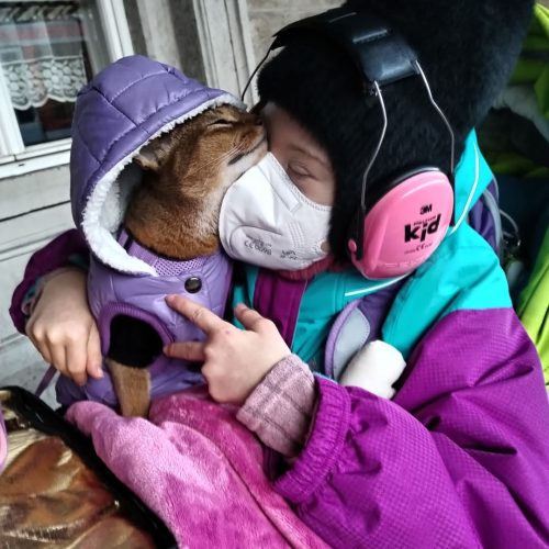 Dívka s asistenčním kocourem