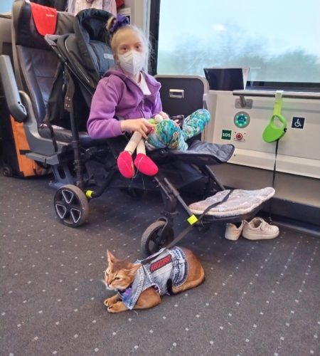 Dívka ve vlaku se svým asistenčním kocourem