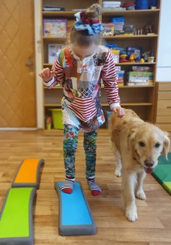 Dívka na canisterapii se zlatým retrívrem