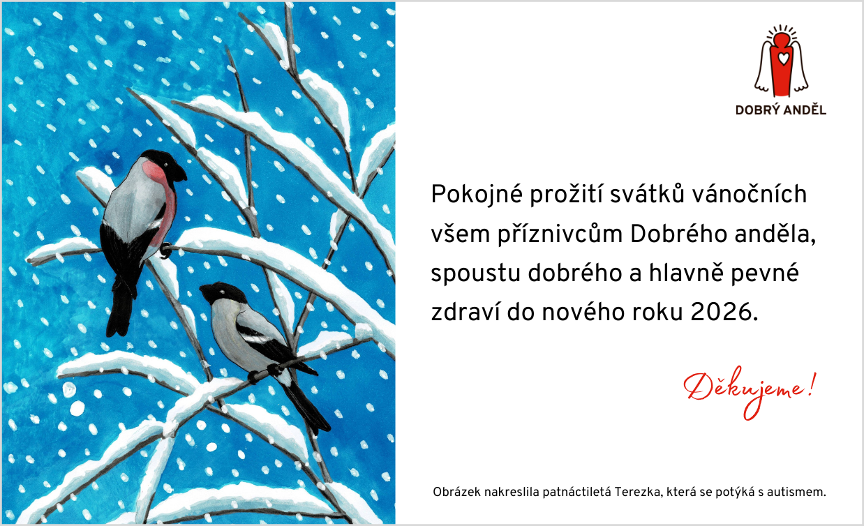 PF 2026 s obrázkem dvou ptáčků na zasněžené větvičce a textem: Pokojné prožití svátků vánočních všem příznivcům Dobrého anděla, spoustu dobrého a hlavně pevné zdraví do nového roku 2026. Děkujeme! Obrázek nakreslila patnáctiletá Terezka, která se potýká s autismem.